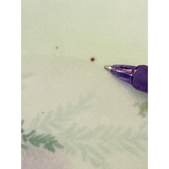 Vintage German Floral Decorative Plate Pink Red Roses 12 Inch - Picture 5 of 6